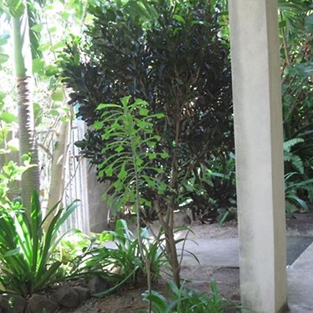 Culture House Hotel บาสแตร์ ภายนอก รูปภาพ